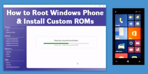 Root windows что это